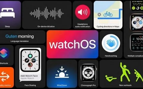 wireapp官方下載,前沿說(shuō)明解析 watchOS_v7.758