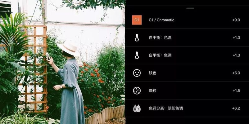 vsco官方下載蘋果,深入解析數(shù)據(jù)應(yīng)用&amp;復(fù)刻款_v9.290