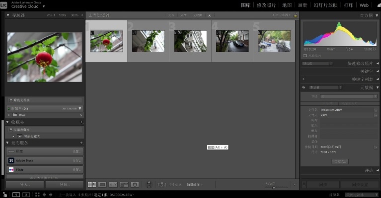 lr版本對(duì)比,精細(xì)設(shè)計(jì)策略-試用版_v9.921