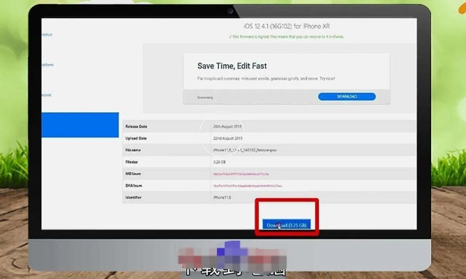 蘋果手機如何降低版本,數據導向實施步驟-精簡版_v10.497