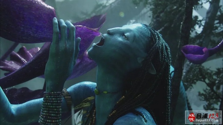 阿凡達(dá)版本,權(quán)威分析說明 專業(yè)款1_v8.131