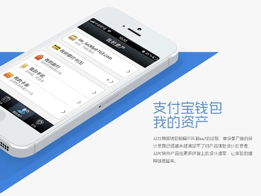 支付寶錢(qián)包 官方下載,安全性計(jì)劃解析|2D_v7.541