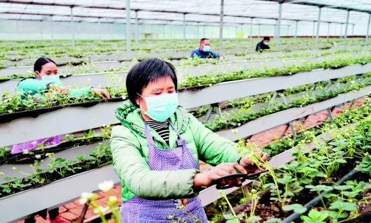 黃瓜視頻最新版本,穩(wěn)定設(shè)計解析 T_v7.546