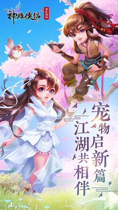 神雕俠侶手游版本,科學評估解析說明-HT_v5.537