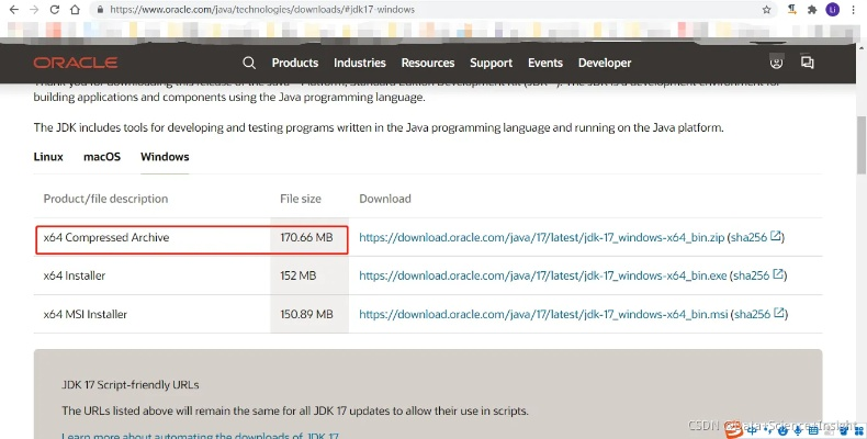 c 6.0官方下載,經(jīng)濟性執(zhí)行方案剖析&amp;Holo_v4.338